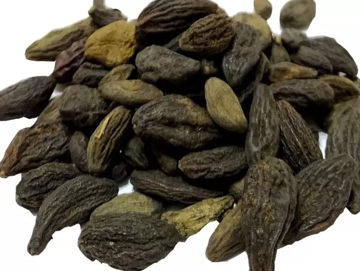 Karahalile (Fructus Myrobalani) 1000gr