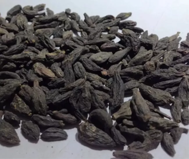 Karahalile 1 Kg ( Orjinal, Elenmiş, Katkısız )