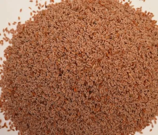 Karnıyarık Otu Tohumu (Psyllium) 500 G