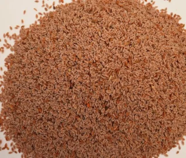 Karnıyarık Otu Tohumu (Psyllium) 1 KG
