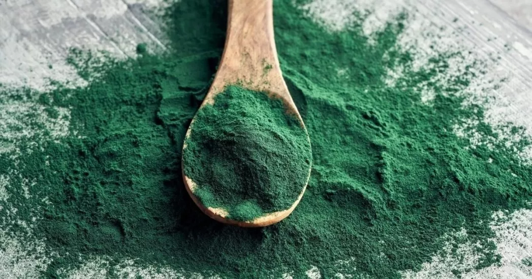 Spirulina Toz Yosun 1. Kalite 1 KG